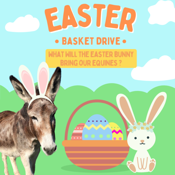 You are currently viewing ‘Equines and Eggs’ Easter Basket Drive 2023