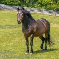 Call to Action: Amend the SAFE Act