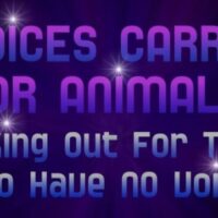 Susan Wagner featured on Animal Advocates Radio