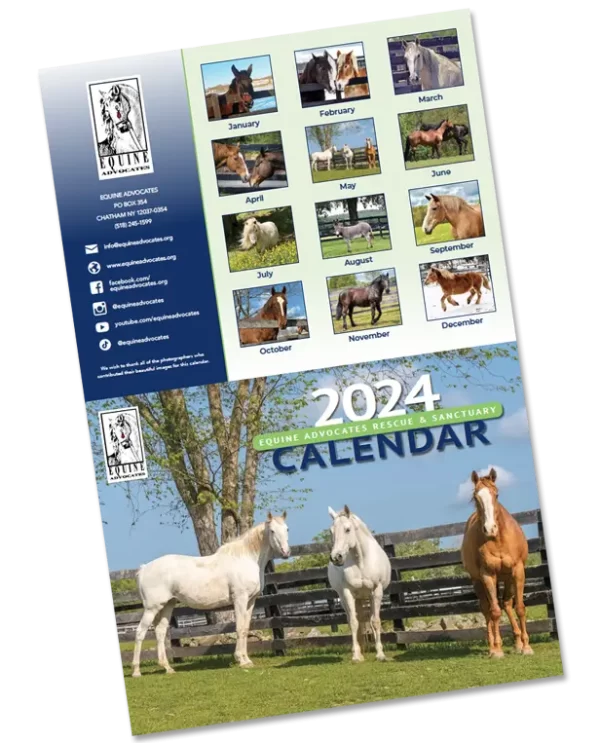 2024 Equine Advocates Calendar