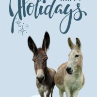 Give a Holiday Gift Donation and Send a Holiday Card!