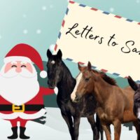 Letters to Santa 2023