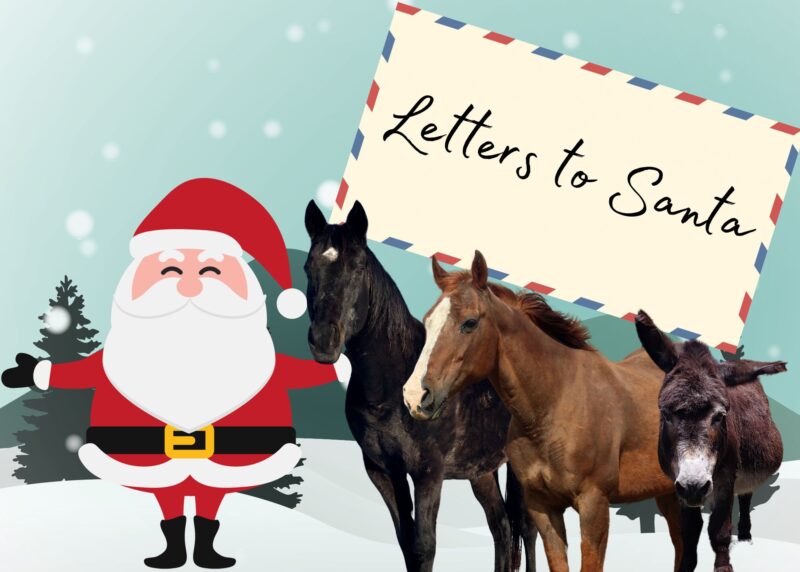 You are currently viewing Letters to Santa 2024