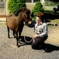 Celebrating 28 Years of Rescuing Equines