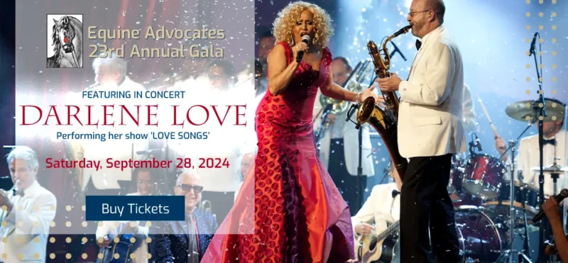 You are currently viewing Equine Advocates 23rd Annual Gala feat. Darlene Love