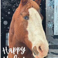 Give a Holiday Gift Donation and Send a Holiday Card!