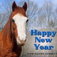 A New Year’s Message from Equine Advocates