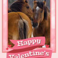 Send a Valentine’s Card & Gift Donation!