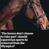 The Guardian: ‘The horses don’t choose to take part’: should equestrian sports be removed from the Olympics?