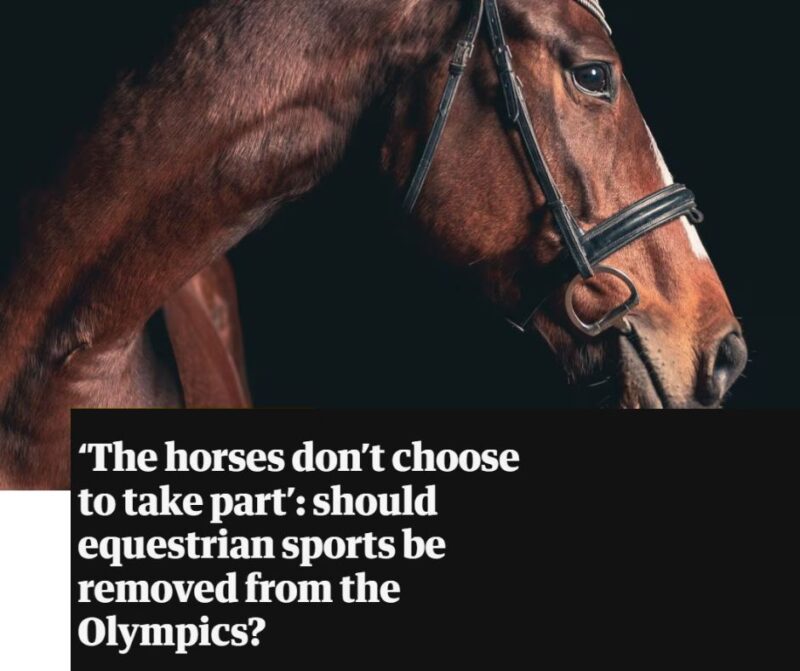 You are currently viewing The Guardian: ‘The horses don’t choose to take part’: should equestrian sports be removed from the Olympics?