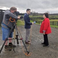NEWS10 ABC: Horse anti-slaughter law begins in New York