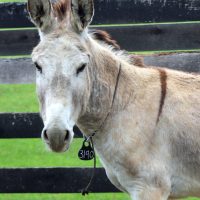 Check out our Summer 2025 newsletter!