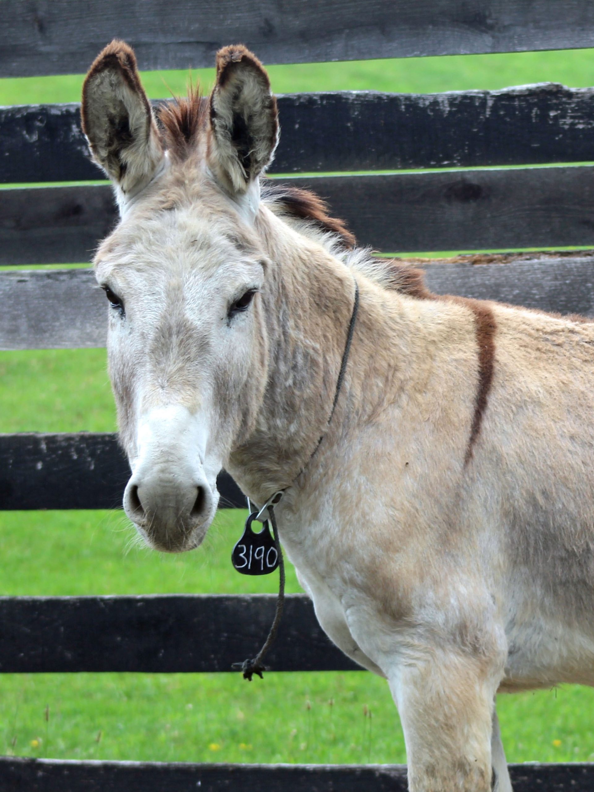 You are currently viewing Check out our Summer 2025 newsletter!