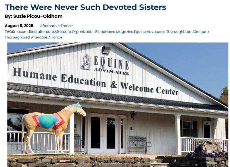 You are currently viewing TAA: There Were Never Such Devoted Sisters