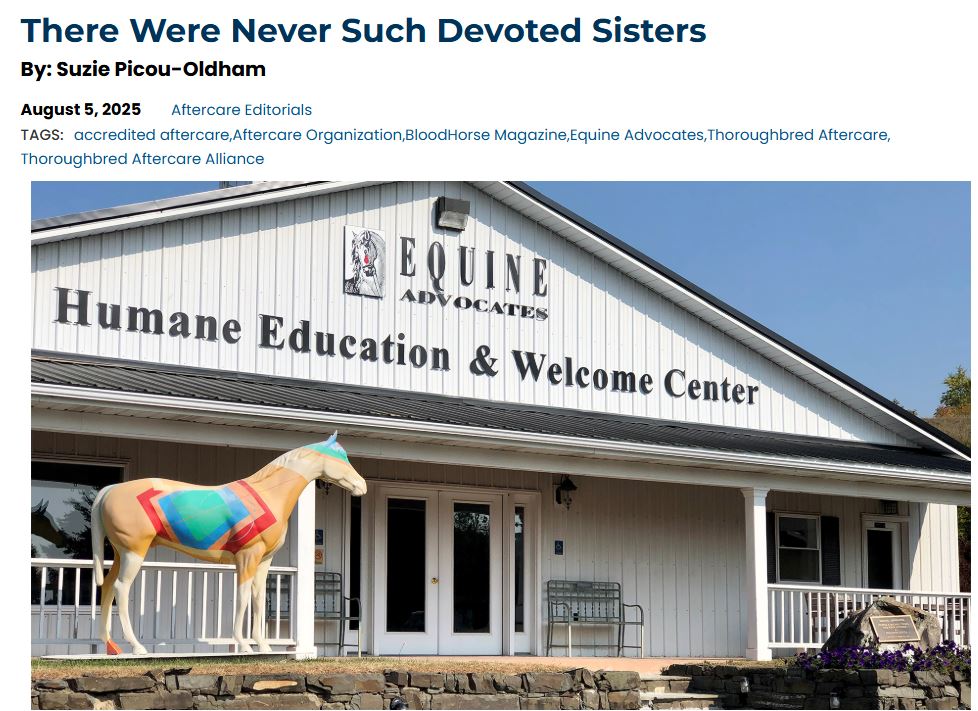 You are currently viewing TAA: There Were Never Such Devoted Sisters