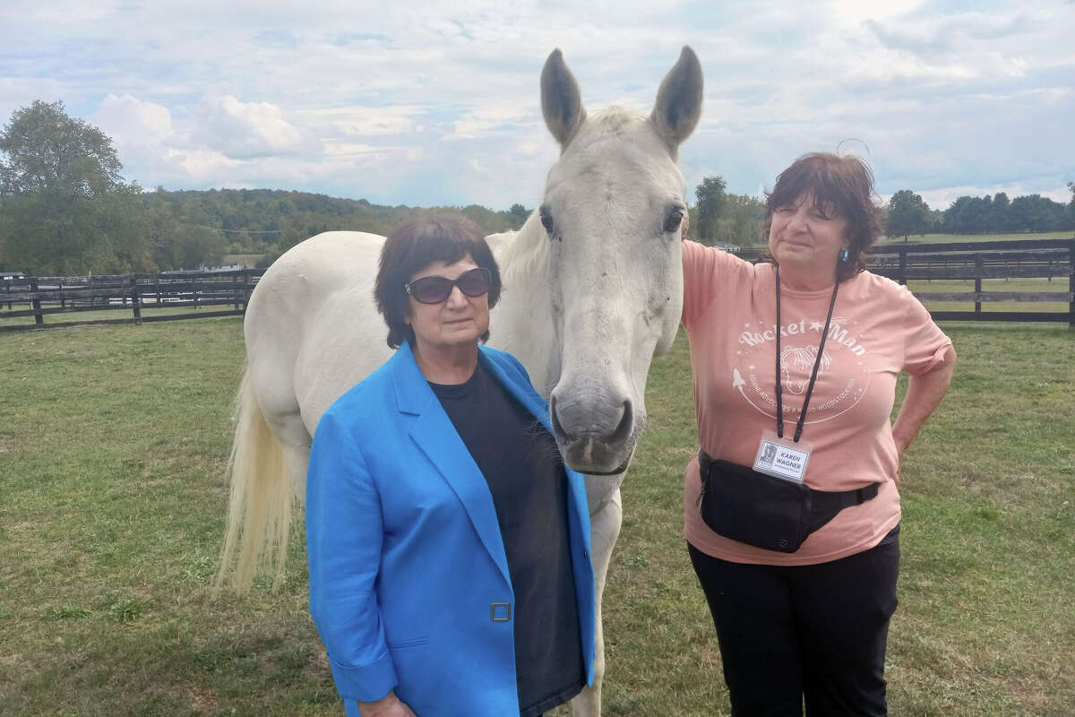 You are currently viewing Times Union: Horsing around at Hudson Valley equine sanctuaries