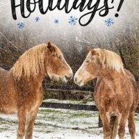 Give a Holiday Gift Donation and Send a Holiday Card!