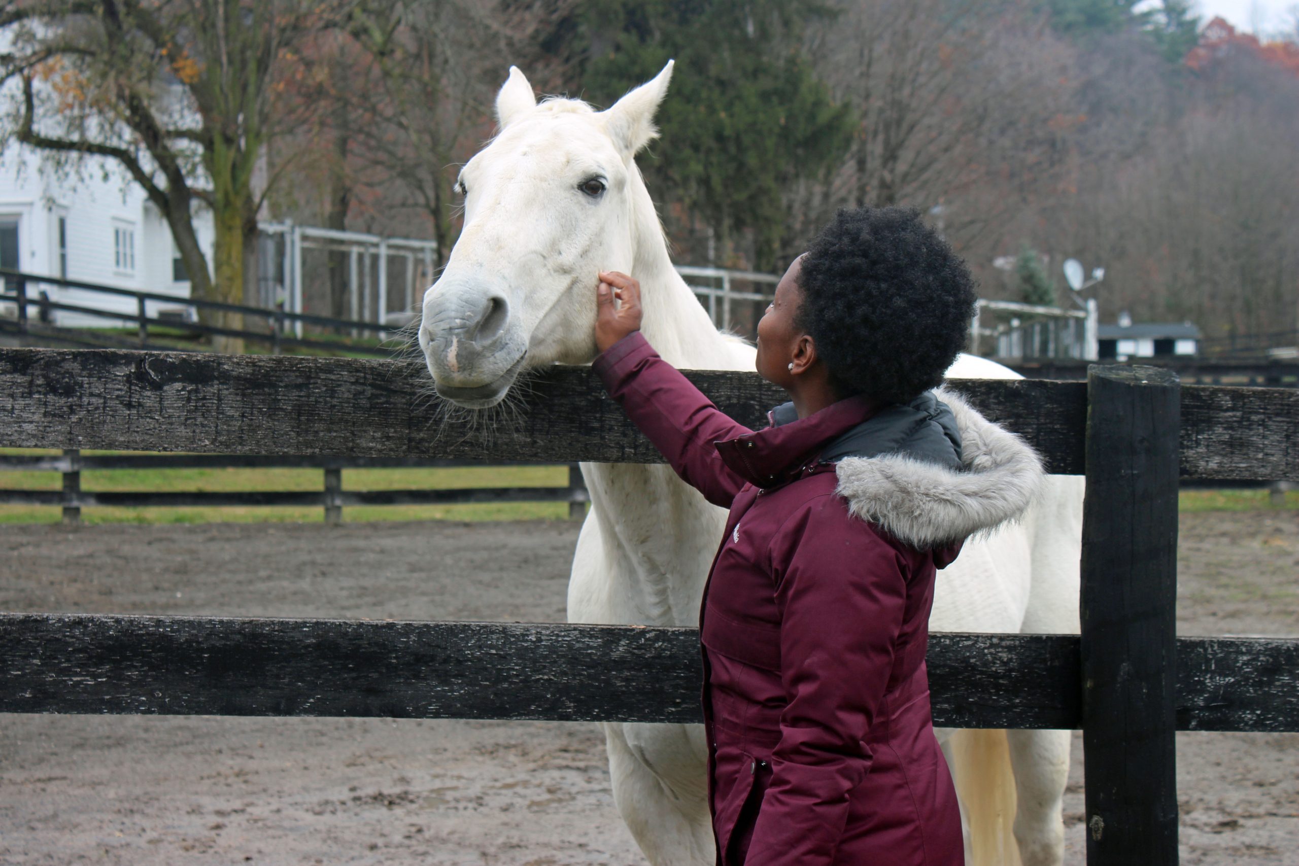 You are currently viewing We saw 1,500 Open Day visitors in 2025