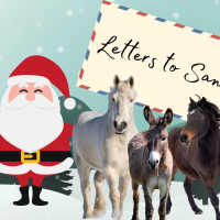 Letters to Santa 2025