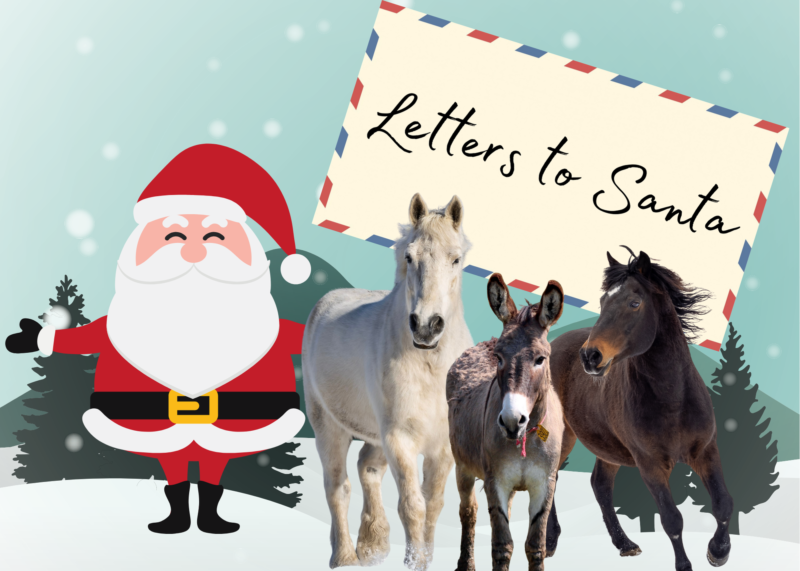 You are currently viewing Letters to Santa 2025