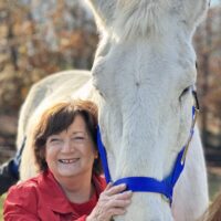 New Year, Same Mission: Save the Horses!