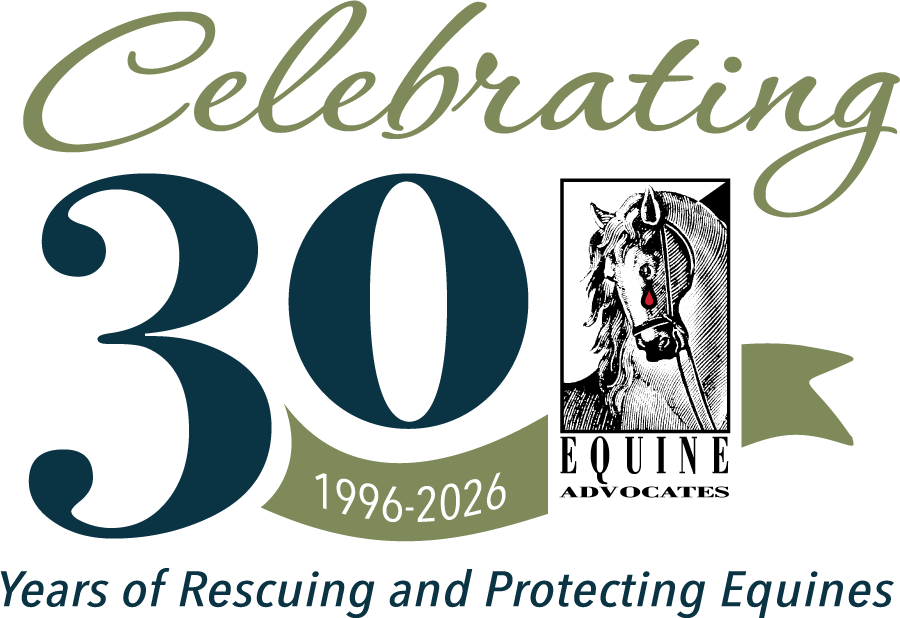 You are currently viewing Equine Advocates Celebrates 30 Years of Rescuing Equines