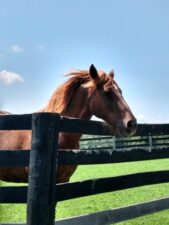 Public Open Days Return in May! View 2026 Schedule