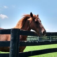 Public Open Days Return in May! View 2026 Schedule