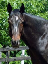 Philip Seymour’s Remarkable Recovery!