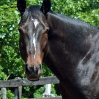Philip Seymour’s Remarkable Recovery!
