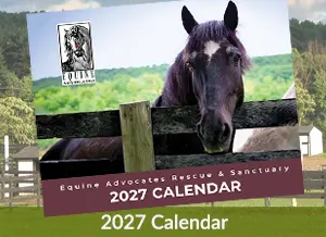 Equine Advocates 2027 Calendar