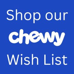 Shop our Chewy Wish List