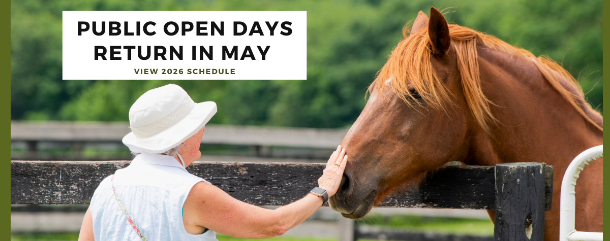 2024 Equine Advocates Gala Fundraiser