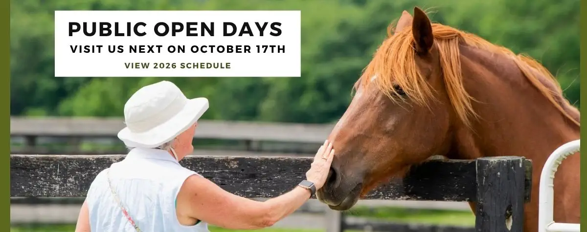 2026 Open Days